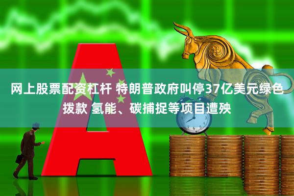 网上股票配资杠杆 特朗普政府叫停37亿美元绿色拨款 氢能、碳捕捉等项目遭殃