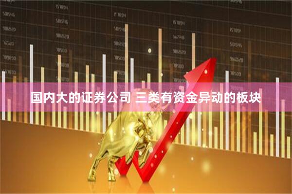 国内大的证券公司 三类有资金异动的板块