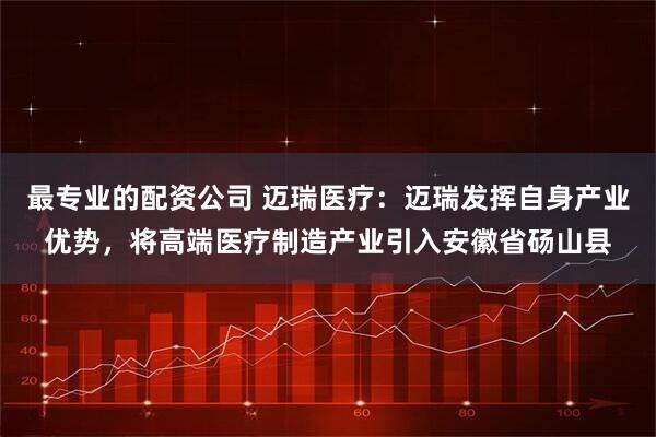 最专业的配资公司 迈瑞医疗：迈瑞发挥自身产业优势，将高端医疗制造产业引入安徽省砀山县